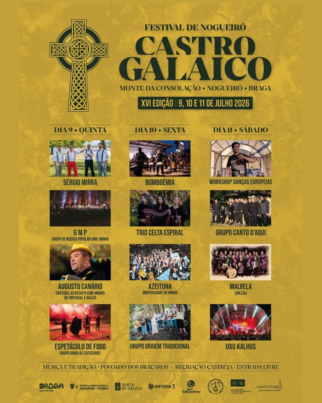 XVI Castro Galaico