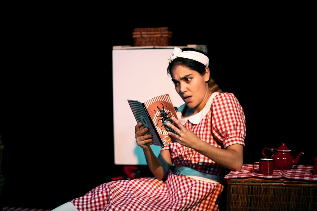 Historioscopio apresenta «Picnic»